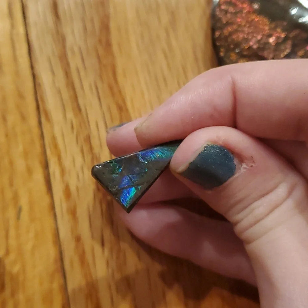 Ammolite fossil lot - Picture 5 of 12